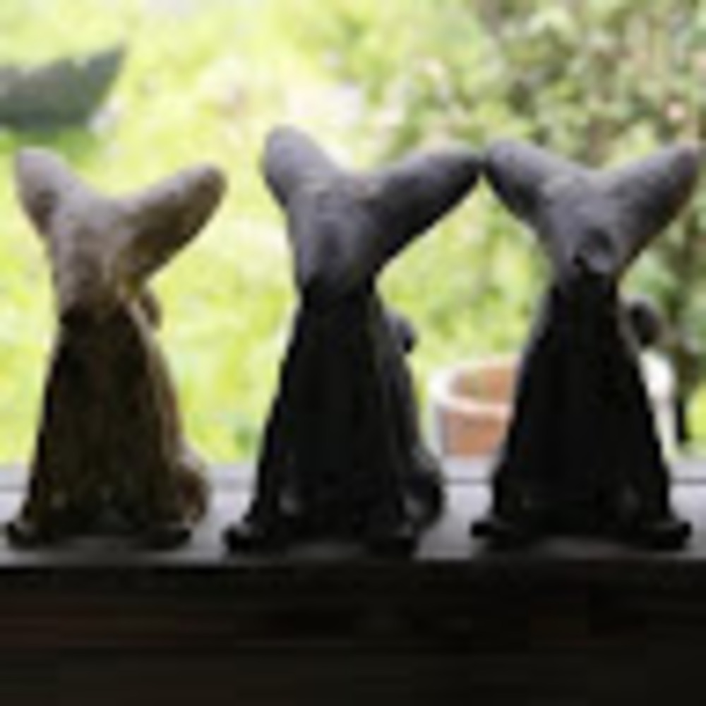 Meet your Posher, Shay